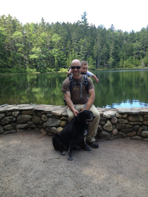 Falls Pond. Apparently this pond is making the slow transition to wetlands -> forest. I think you’re OK if you hike around it in the next decade or two though...