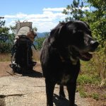 Bear 10/98 –&nbsp;10/15/2012