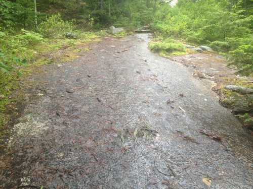 A slick bit of trail