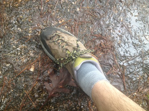 Greatest trail shoes ever!