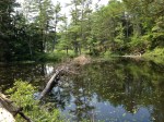 Size-able Beaver Dam