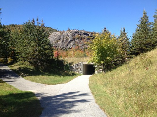 Artists Bluff close to the end