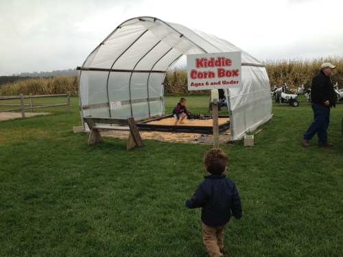 This is going to be fun!