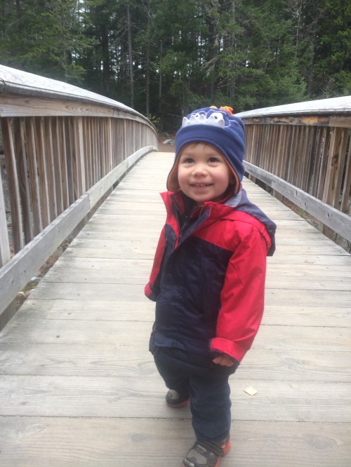 Bridge over the Swift River