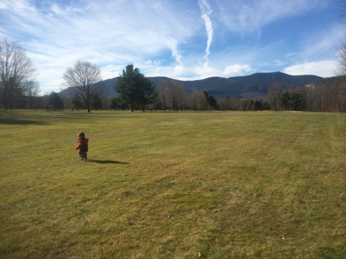 Plenty of room to run!