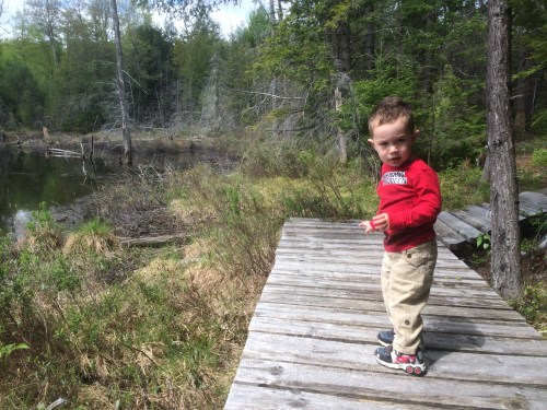Exploring outside the kid carrier
