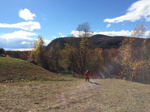 Views of Cathedral Ledge in the distance
