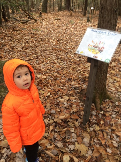 This week's book "Dragons Love Tacos"